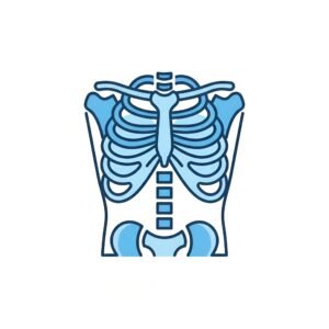 Flat x-ray ribcage icon, medical vector on white background