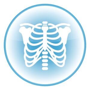 Rounded flat vector x-ray scan icon showing ribcage for medical radiology and diagnostic imaging