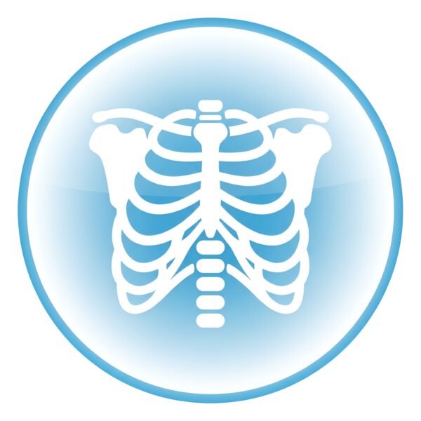 Rounded flat vector x-ray scan icon showing ribcage for medical radiology and diagnostic imaging