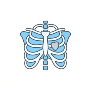 Minimalist flat vector icon of a ribcage x-ray scan, set against a clean white background. Ideal for medical and healthcare diagnostic themes.