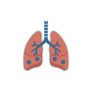 Vector style lungs icon, flat medical symbol, isolated on white.