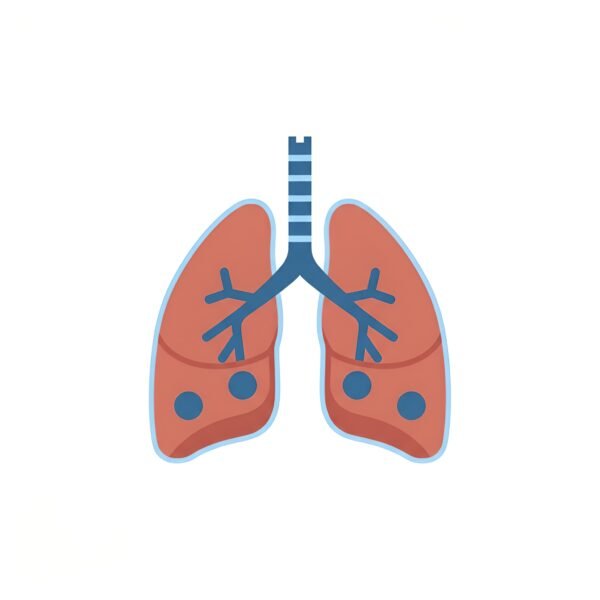 Vector style lungs icon, flat medical symbol, isolated on white.