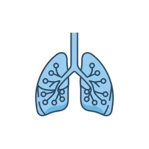 Vector style lungs icon, flat medical symbol, isolated on white.