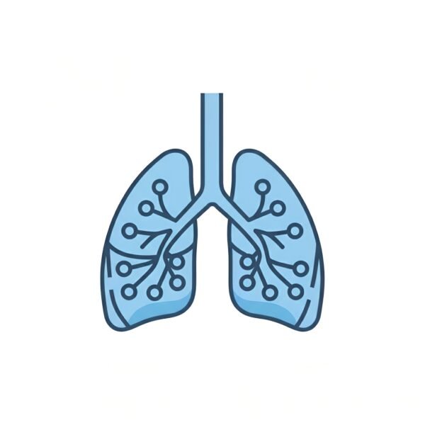 Vector style lungs icon, flat medical symbol, isolated on white.