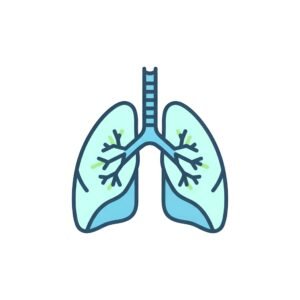 Vector style lungs icon, flat medical symbol, isolated on white.
