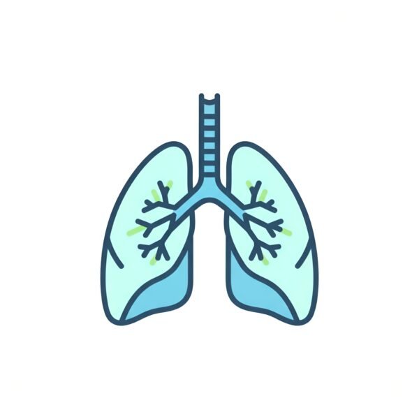 Vector style lungs icon, flat medical symbol, isolated on white.