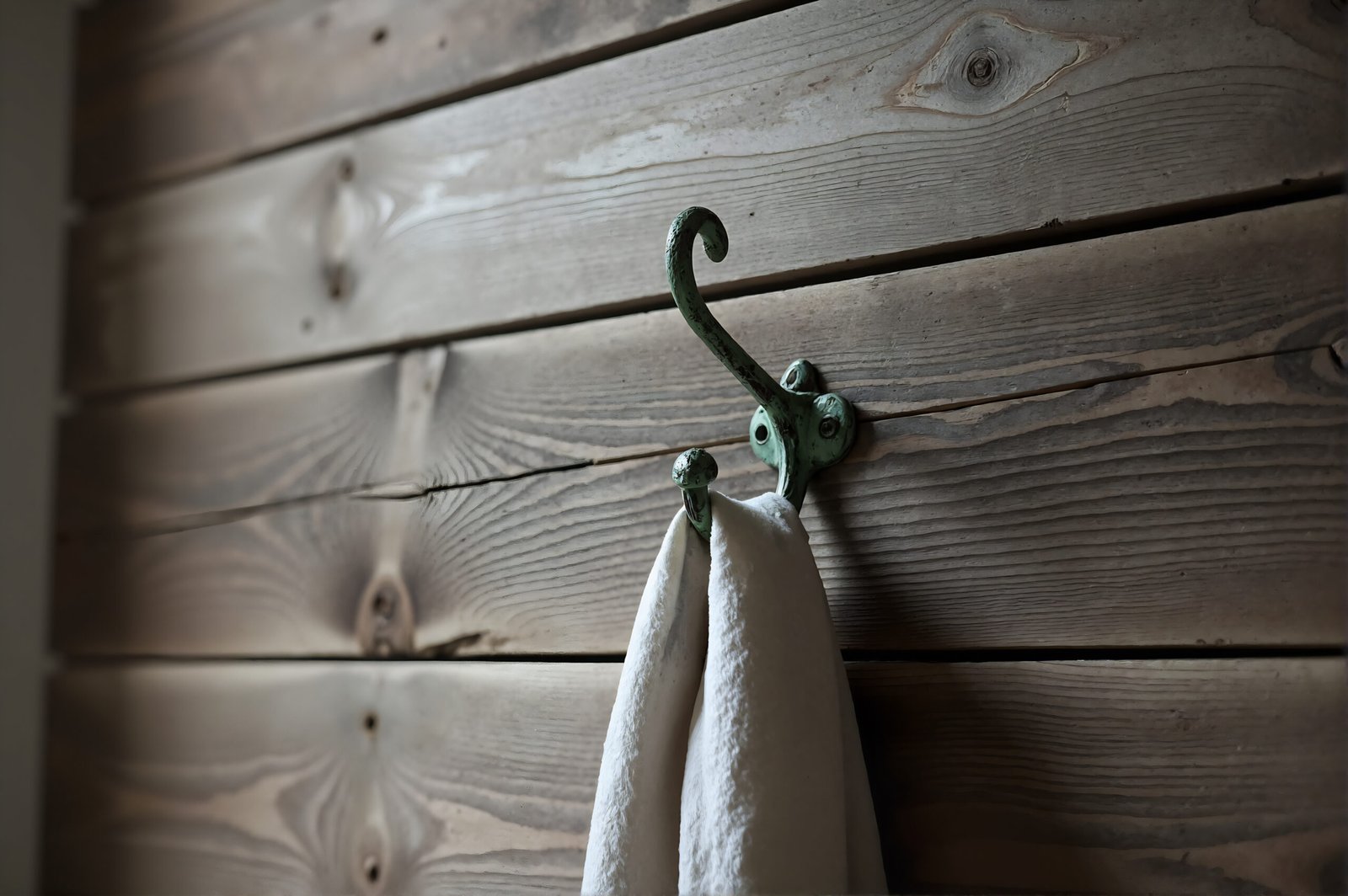 Clothes hook mounted on wooden wall detailed textures soft natural light
