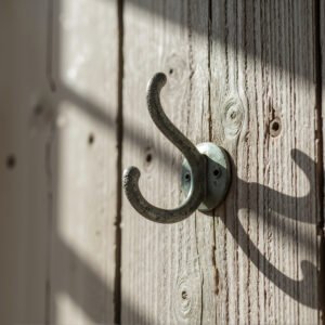 Empty clothes hook mounted on wooden wall detailed textures soft natural light