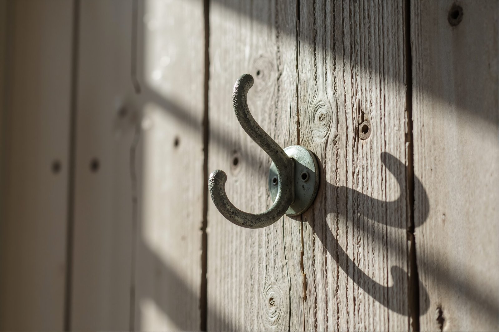 Empty clothes hook mounted on wooden wall detailed textures soft natural light