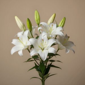 White lily bouquet on neutral background soft studio lighting clean minimal style