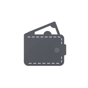 flat vector icon of a wallet with cash isolated on white background