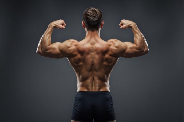 Athlete showing toned back muscles strong rim light emphasizing muscle definition minimal background fitness photography style