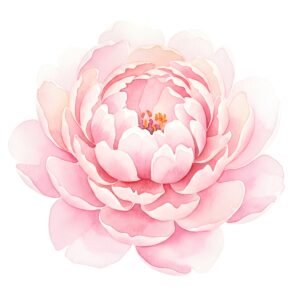 Large watercolor peony with soft pink petals layered texture realistic but airy style soft edges on white background 2