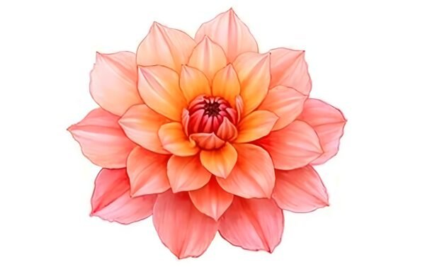 Download free vibrant watercolor dahlia with layered petals, ideal for botanical wall art, stationery, floral branding, and hand-painted design themes.