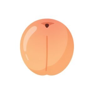 clean 2d flat illustration of a single apricot simple rounded shapes soft e background no text consistent with modern language learning app visuals yZMFRA1I upscaled
