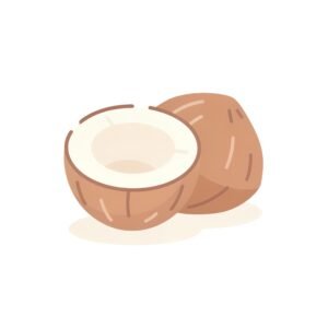 clean 2d flat illustration of a single coconut sliced simple rounded shapee background no text consistent with modern language learning app visuals UWYC165F upscaled