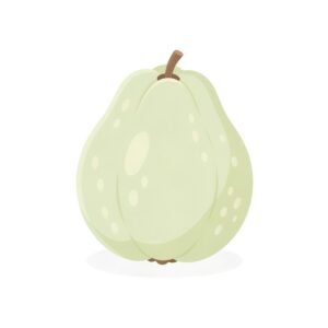 clean 2d flat illustration of a single guava simple rounded shapes soft pae background no text consistent with modern language learning app visuals Eegn KS6 upscaled