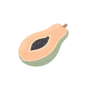 clean 2d flat illustration of a single papaya simple rounded shapes soft pe background no text consistent with modern language learning app visuals iPX4A0mf upscaled