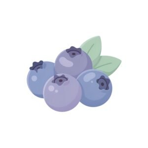 clean 2d flat illustration of blueberries simple rounded shapes soft pastee background no text consistent with modern language learning app visuals rzUjnl1Y upscaled