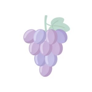 clean 2d flat illustration of grapes simple rounded shapes soft pastel cole background no text consistent with modern language learning app visuals P8DaZHT upscaled