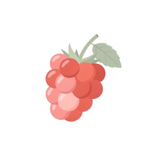clean 2d flat illustration of raspberries simple rounded shapes soft pastee background no text consistent with modern language learning app visuals oYoDkNNG upscaled