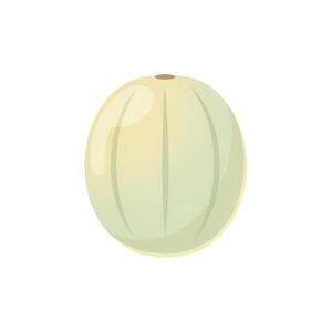 clean 2d flat illustration of single melon simple rounded shapes soft paste background no text consistent with modern language learning app visuals kkC9UYw2 upscaled