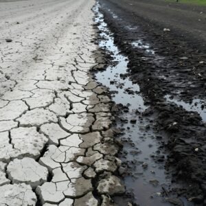 Download dry & wet soil comparison photo showing rainwater soaking cracked earth, ideal for climate change, agriculture content & sustainability visuals